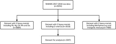 Machine learning model for depression based on heavy metals among aging people: A study with National Health and Nutrition Examination Survey 2017–2018